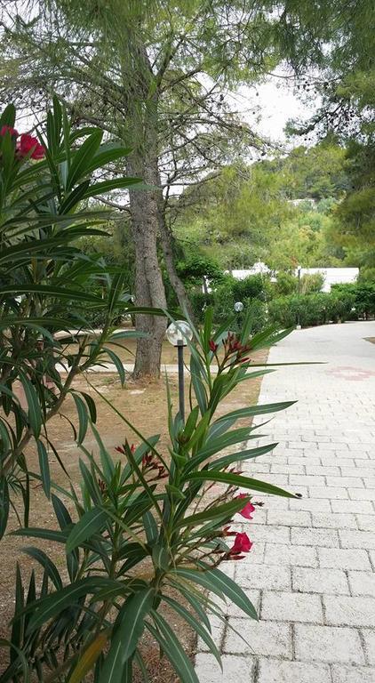 Villaggio Sabbiadoro 비에스테 외부 사진